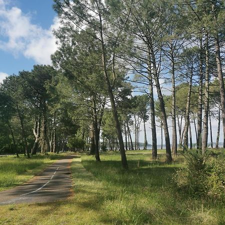 Appartements Au Coeur Du Golf, Proche Du Lac Et Velodyssee Biscarrosse Zewnętrze zdjęcie