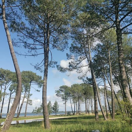 Appartements Au Coeur Du Golf, Proche Du Lac Et Velodyssee Biscarrosse Zewnętrze zdjęcie