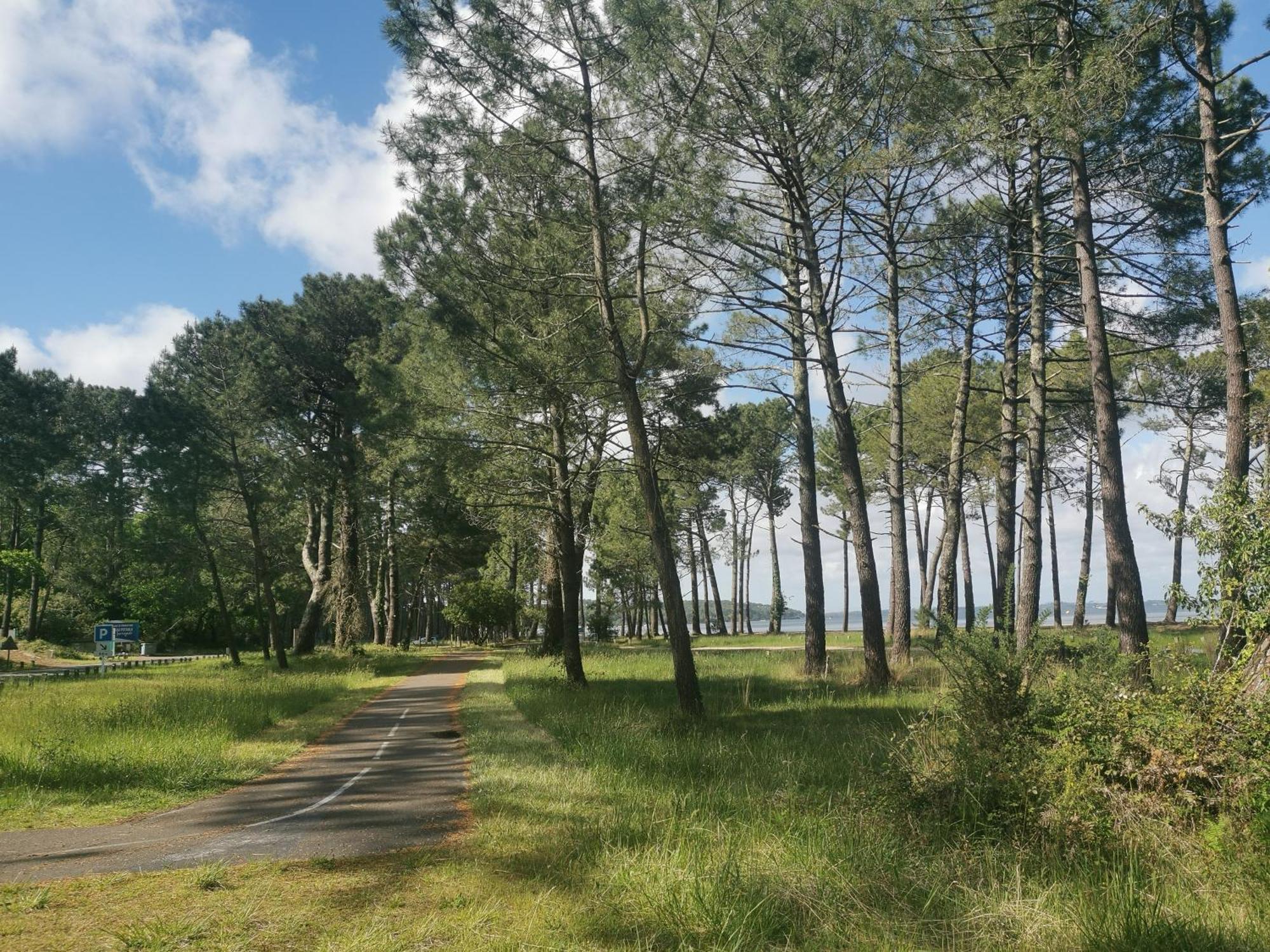 Appartements Au Coeur Du Golf, Proche Du Lac Et Velodyssee Biscarrosse Zewnętrze zdjęcie